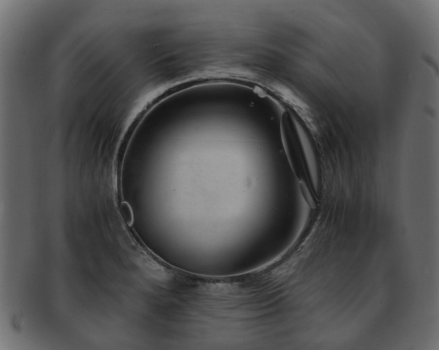 X0000093231280200709261644