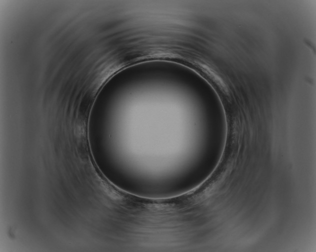X0000093231281200709261644