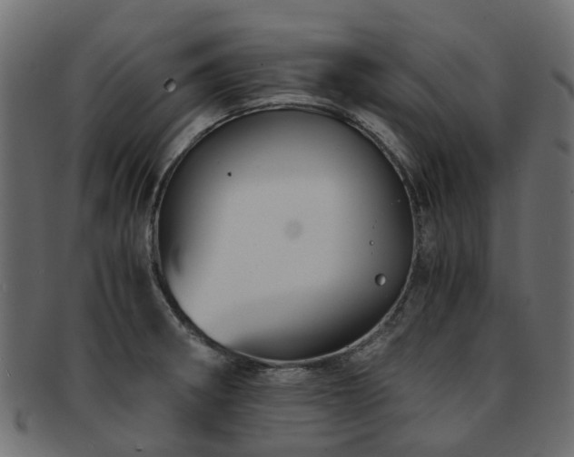 X0000093231282200709261644