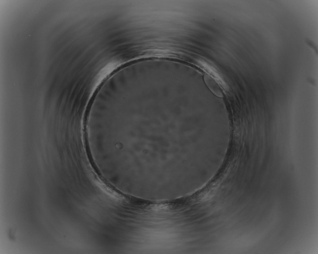 X0000093231283200709261644