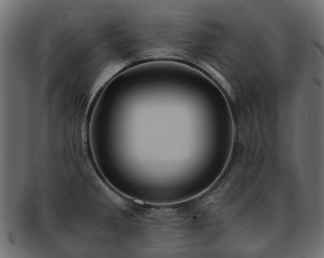 X0000093231285200709261644