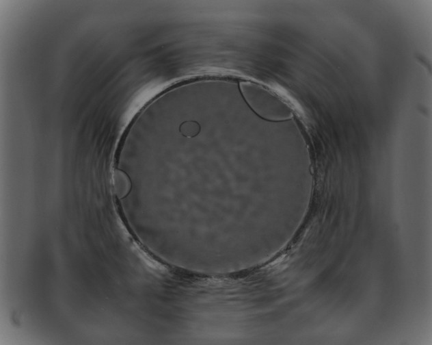 X0000093231287200709261644