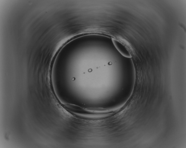 X0000093231288200709261644