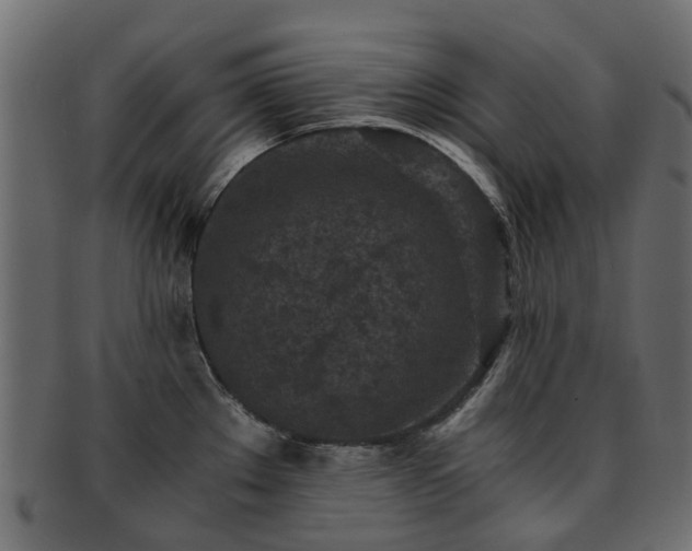 X0000093231289200709261644