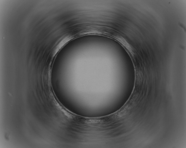 X0000093231290200709261644