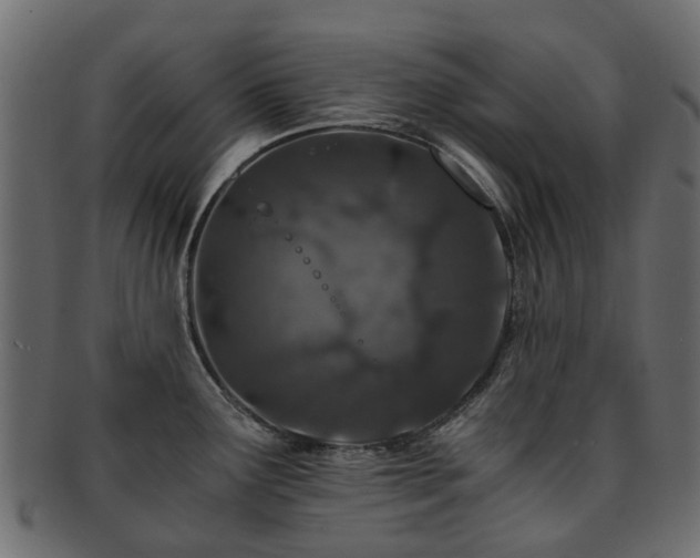 X0000093231291200709261644