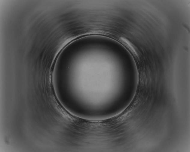 X0000093231292200709261644