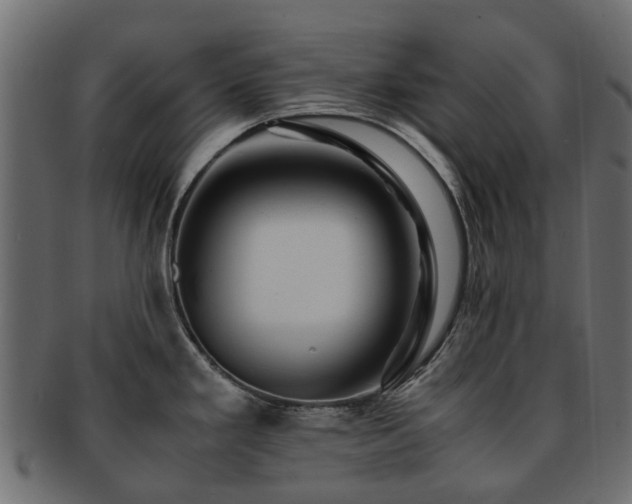 X0000093231293200709261644