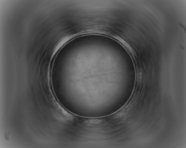 X0000093231294200709261644