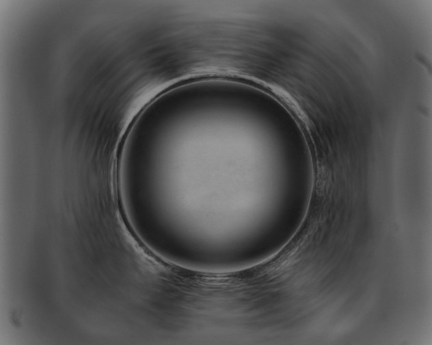 X0000093231295200709261644