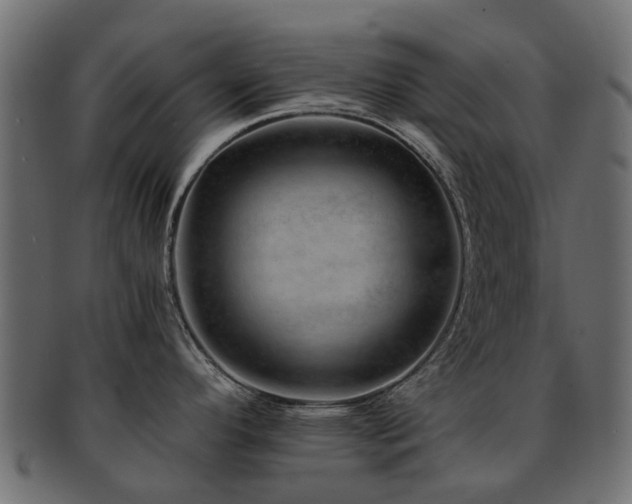 X0000093231296200709261644