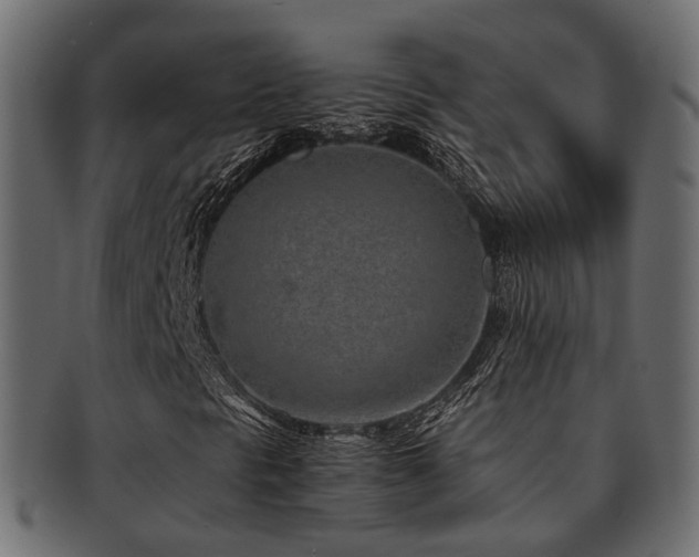 X0000093231297200709261643