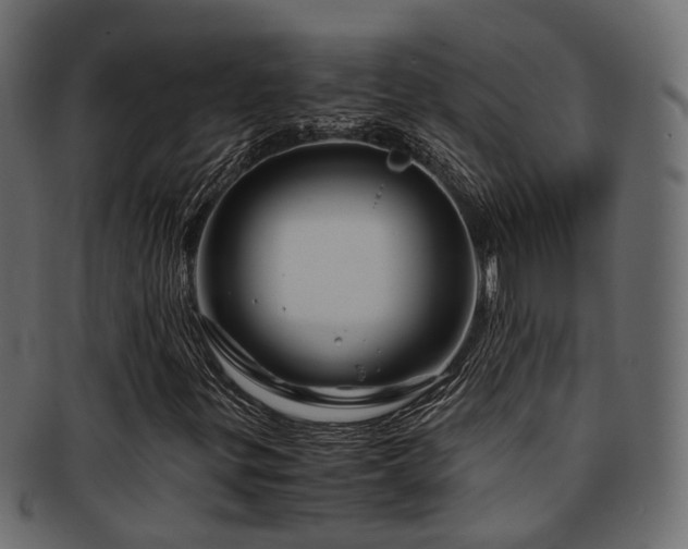 X0000093231299200709261643