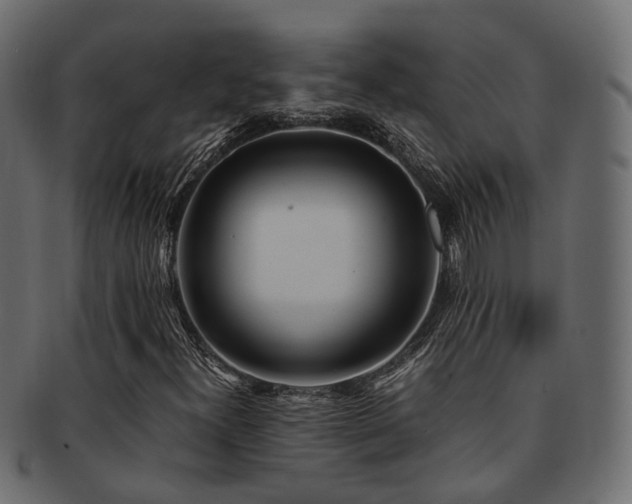 X0000093231300200709261643