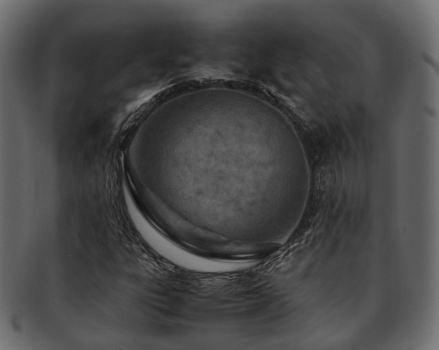 X0000093231303200709261644