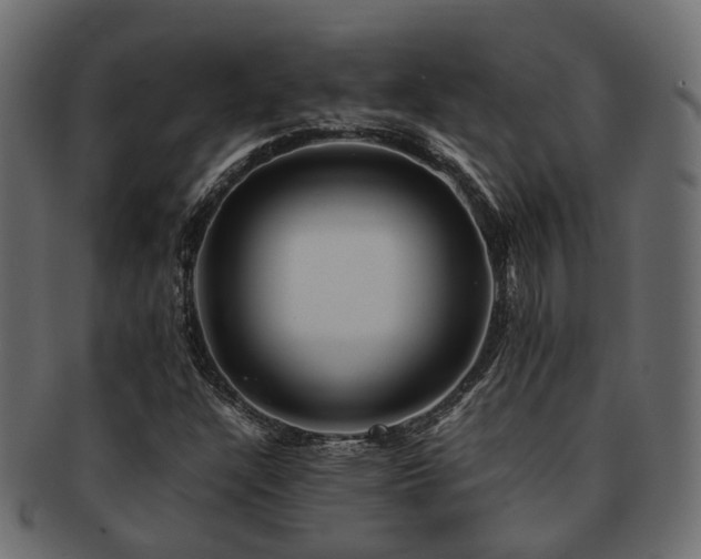 X0000093231304200709261644