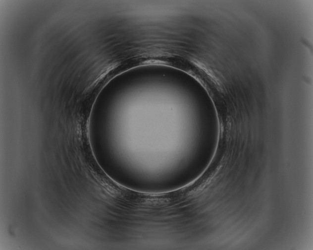 X0000093231305200709261644