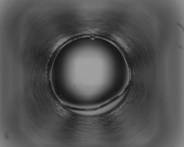 X0000093231308200709261644