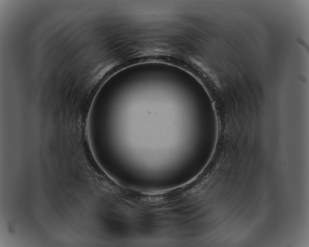 X0000093231313200709261644