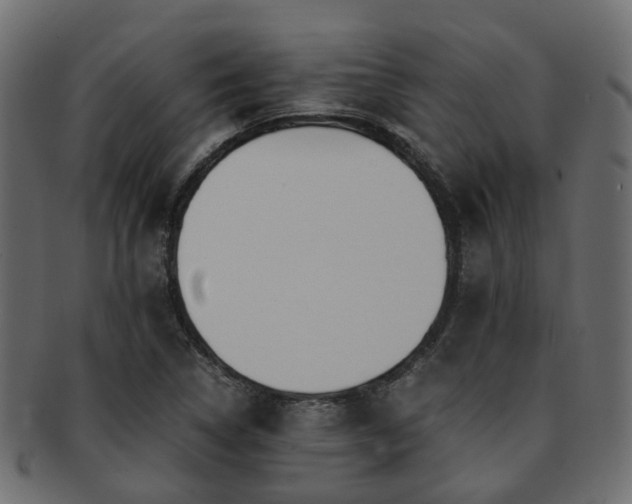 X0000093231314200709261644