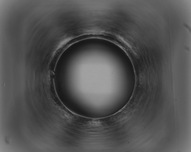 X0000093231315200709261644