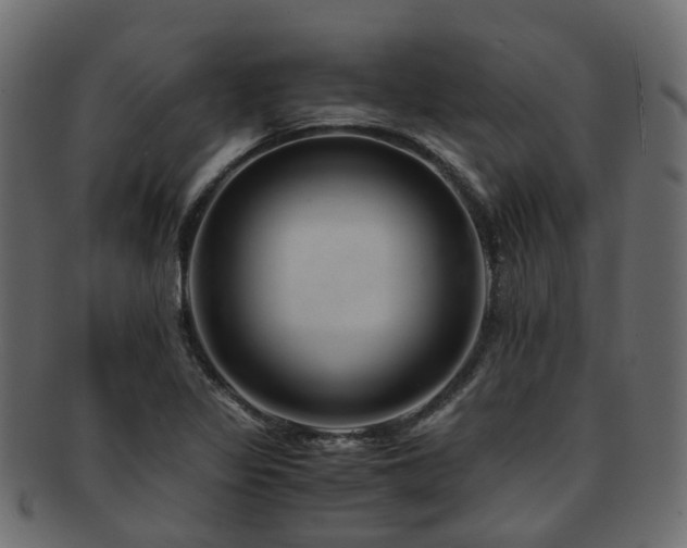 X0000093231317200709261644