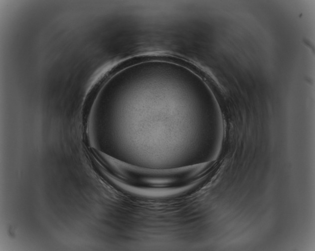 X0000093231319200709261644