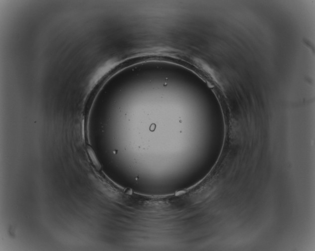 X0000093231320200709261644
