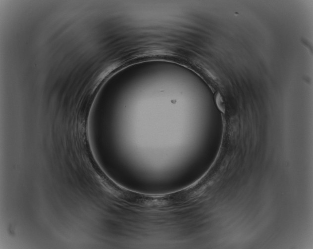 X0000093231321200709261644