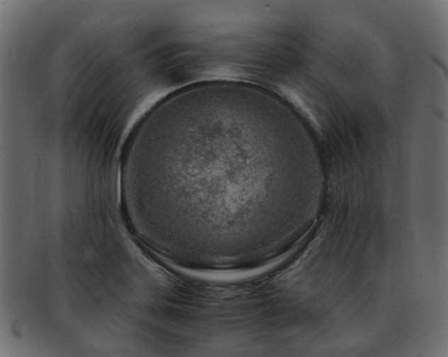 X0000093231323200709261644
