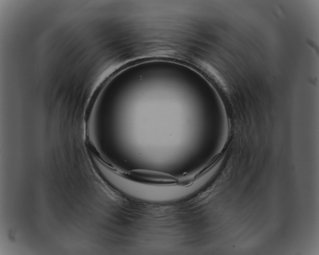 X0000093231324200709261644