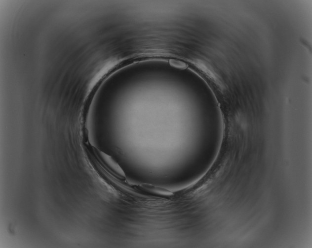 X0000093231325200709261644