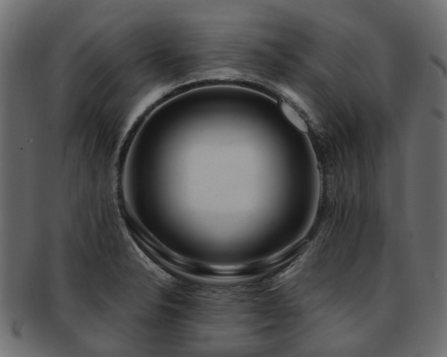 X0000093231326200709261644