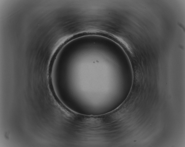 X0000093231327200709261644