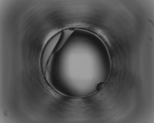 X0000093231328200709261644