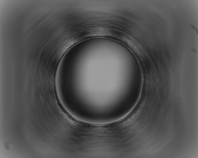 X0000093231329200709261644