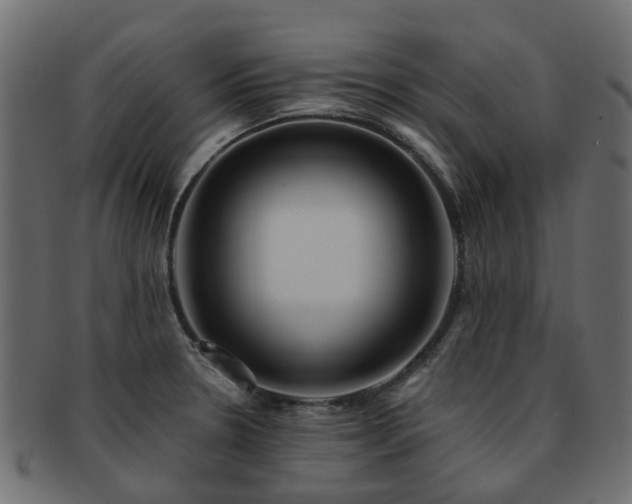 X0000093231330200709261644