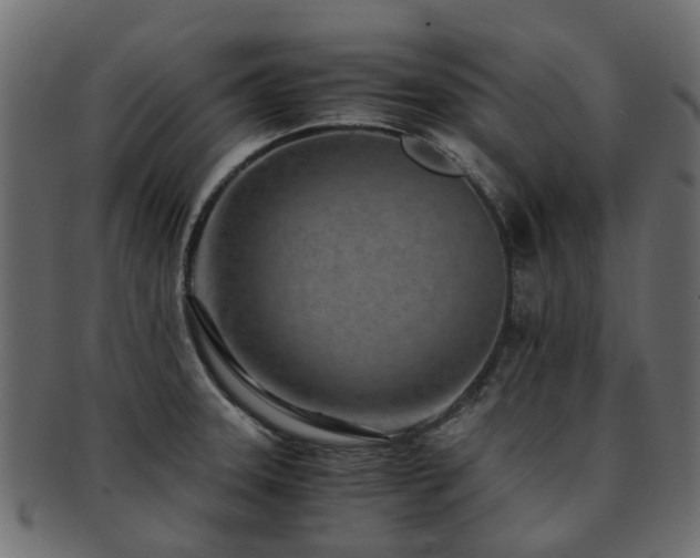 X0000093231331200709261644