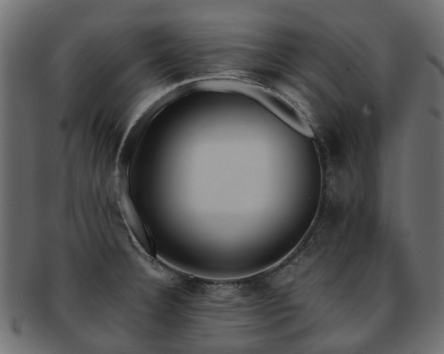 X0000093231332200709261644