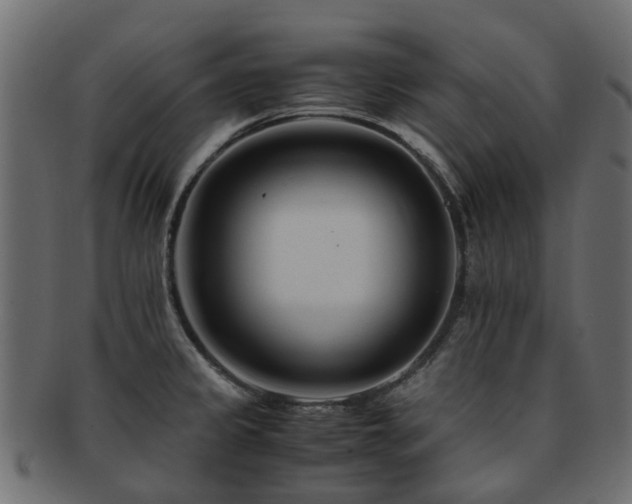 X0000093231333200709261644