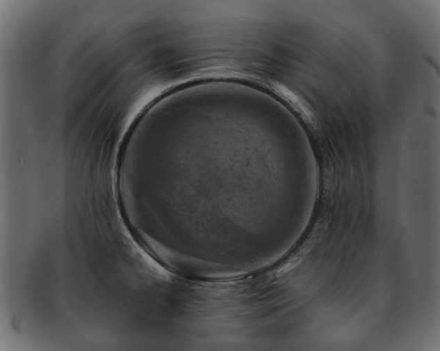 X0000093231334200709261644