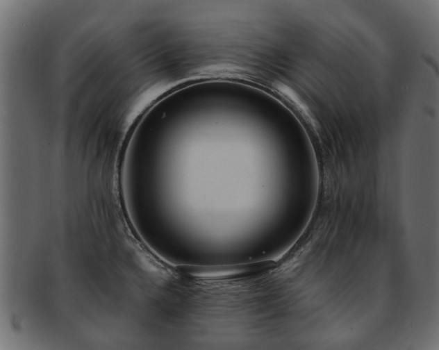 X0000093231336200709261644