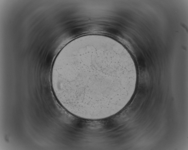 X0000093231338200709261644