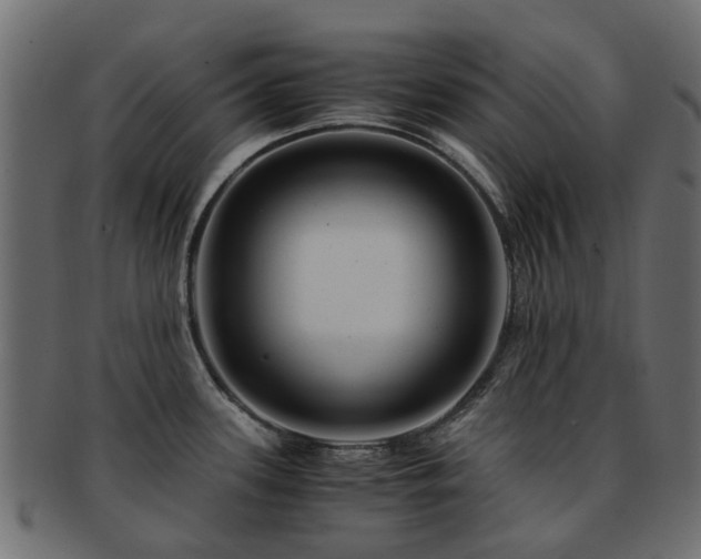 X0000093231339200709261644