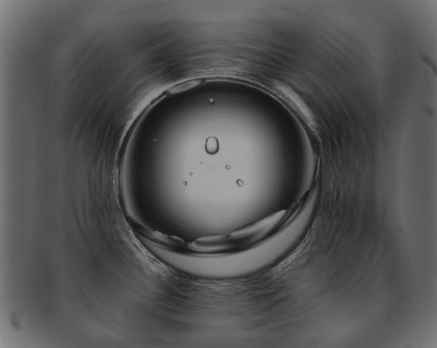 X0000093231340200709261644