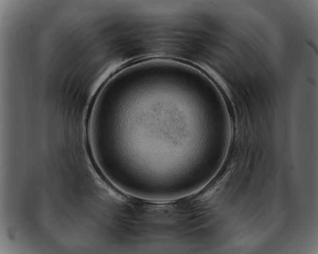 X0000093231341200709261644