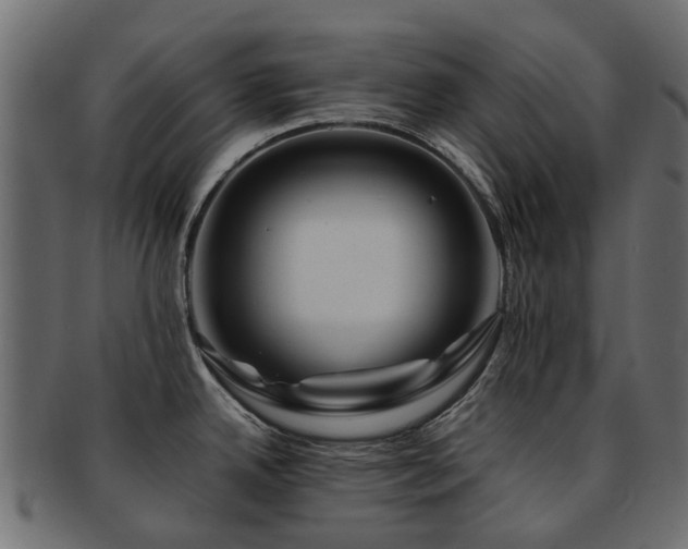 X0000093231342200709261644