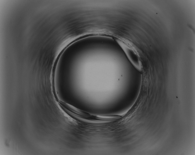 X0000093231343200709261644