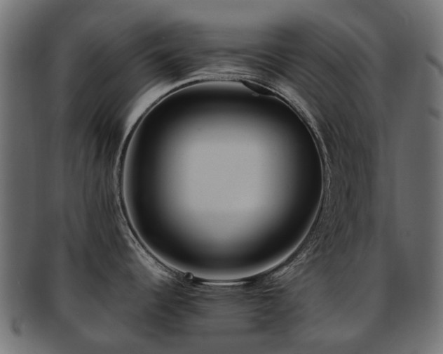 X0000093231344200709261644