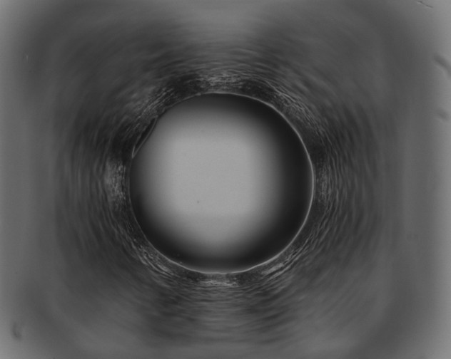 X0000093231346200709261643